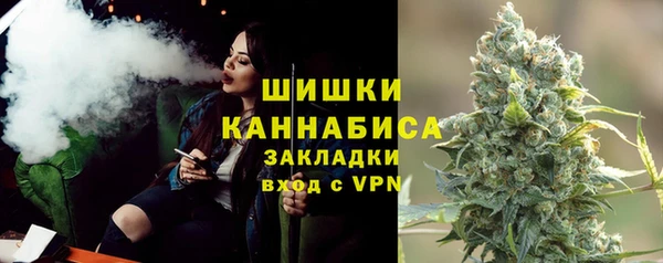 шишки Медвежьегорск