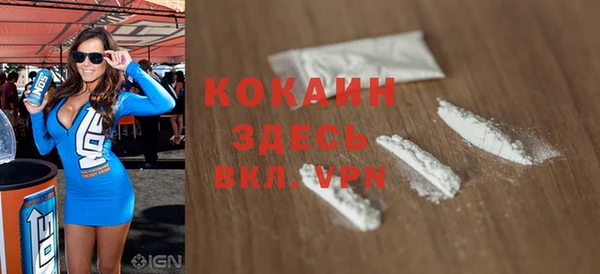 шишки Медвежьегорск