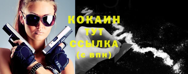 шишки Медвежьегорск