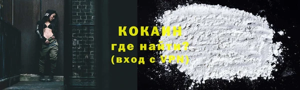шишки Медвежьегорск