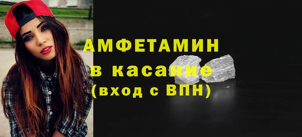 шишки Медвежьегорск
