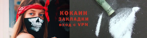 шишки Медвежьегорск