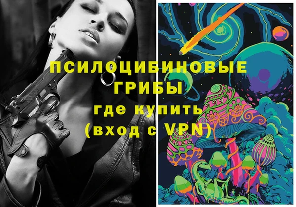 шишки Медвежьегорск