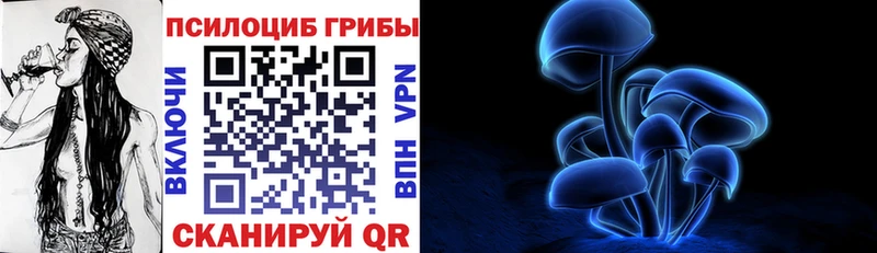 Псилоцибиновые грибы мицелий  Купить  Кизляр 